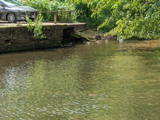 Karlstalschlucht Trippstadt 
23. Juli 2023